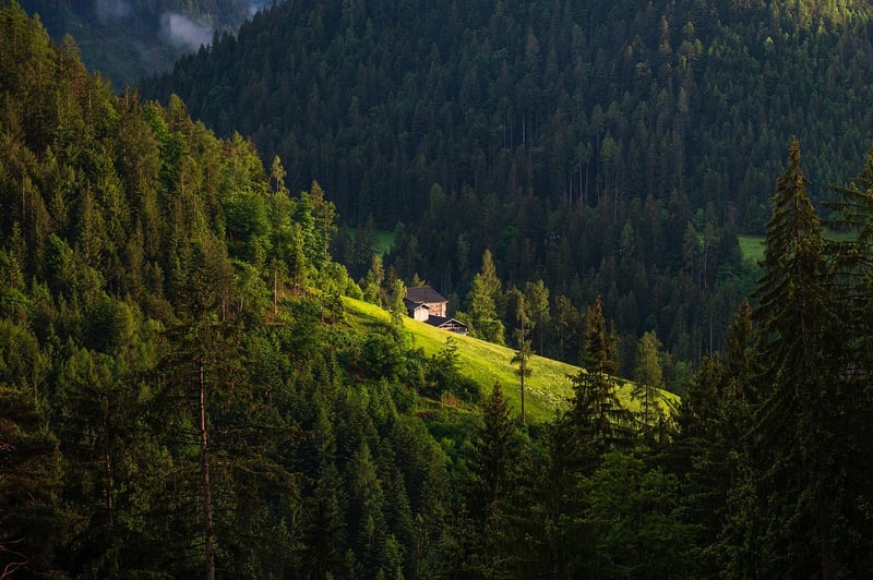 Mountain Cabin